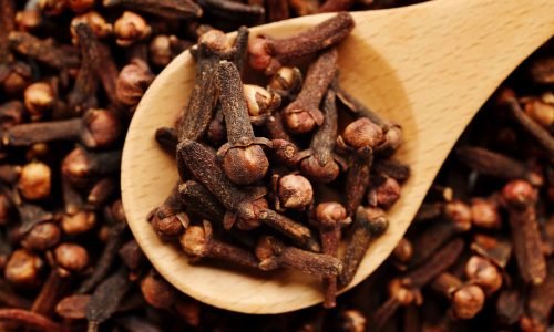 CLOVE