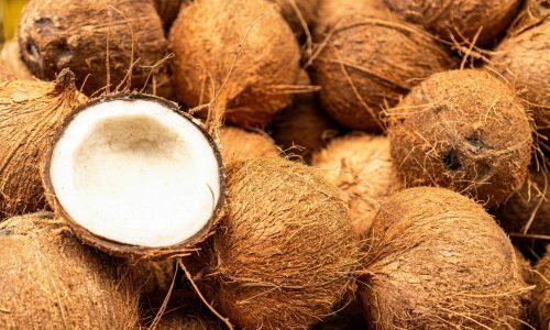 FRESH COCONUT