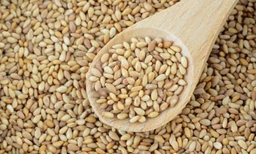 SESAME SEED